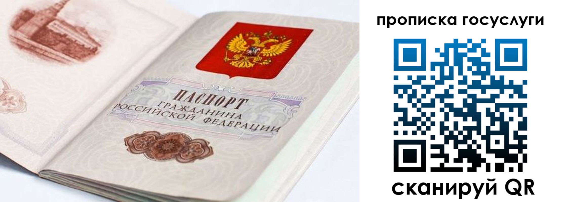 прописка гарантия в Махачкале